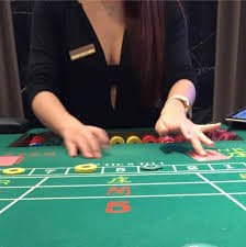 wim444 bet